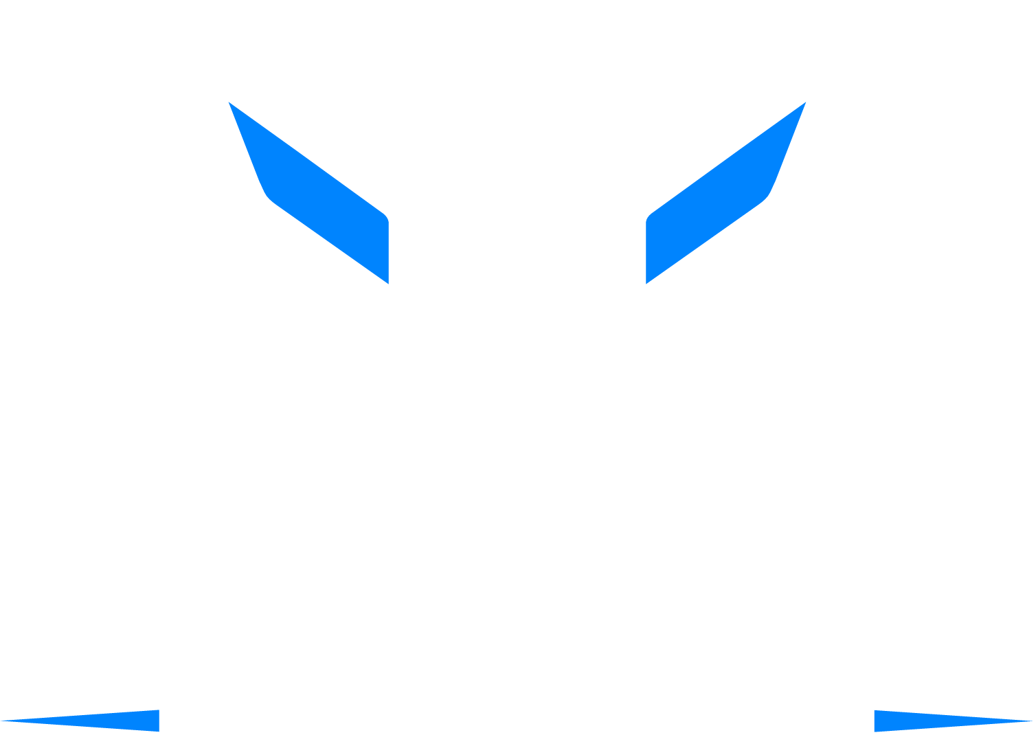 Bravo Secure